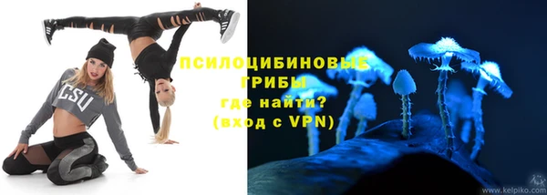 дурь Аркадак